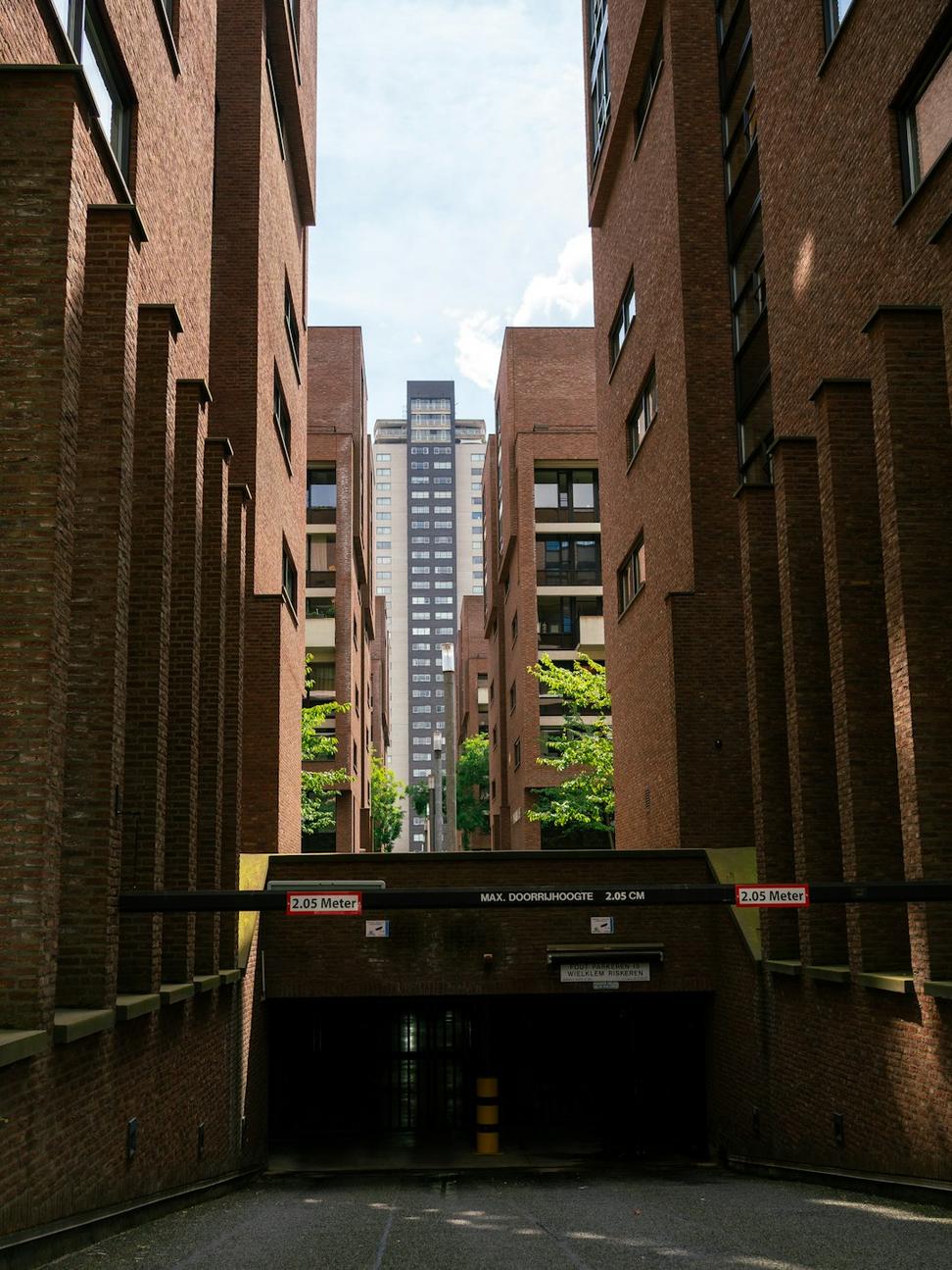 Laneway Living Project